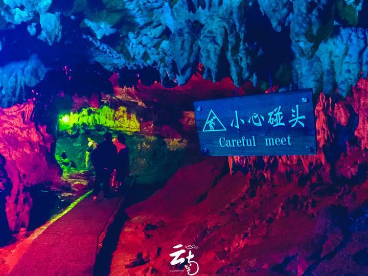 如果你家狗狗老了,你会好好帮它度过余生,还是狠心抛弃它呢?